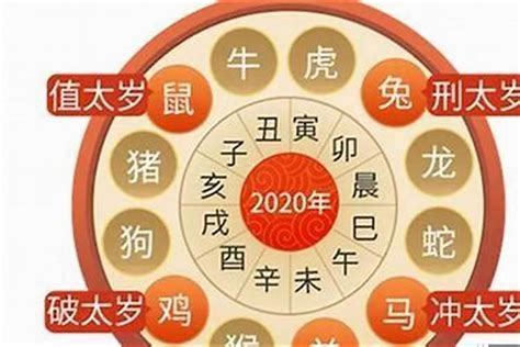 2024虎年運程1974女|1974年属虎人2024年运势及运程详解 74年出生50岁生肖虎2024年。